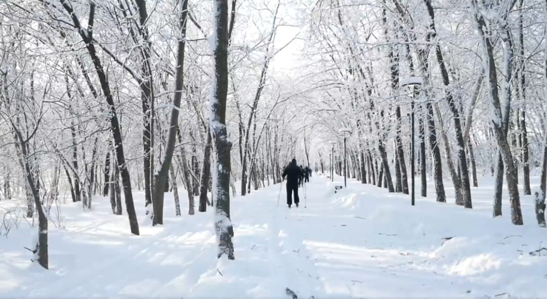 В Саратове открыли лыжную трассу на новой экотропе